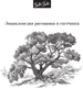 Миниатюра изображения товара Книга АСТ Рисуем всё-всё! От кошек до деревьев и гор. Более 50 проектов (Walter Foster, твердая обложка)