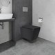 Миниатюра изображения товара Унитаз подвесной Lauter Magdeburg с жестким сиденьем Soft Close / 21103EC (черный матовый, скрытое крепление)