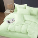 Миниатюра изображения товара Комплект постельного белья PANDORA №1х1 12-0109 Светлая мята (N) Евро-стандарт (микрофибра-страйп)