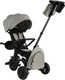 Миниатюра изображения товара Трехколесный велосипед с ручкой QPlay Rider SM / S700-17 (серый/графитовый)