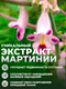 Миниатюра изображения товара Коллаген 1WIN Морской (180г, май тай)