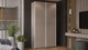 Миниатюра изображения товара Шкаф-купе ТриЯ Оскар Скания Т2 1200 / 268349 (ручка белая/кашемир/кашемир сатин)