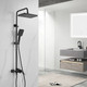 Миниатюра изображения товара Душевая система со смесителем Shevanik S4436H (черный)