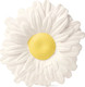 Миниатюра изображения товара Прорезыватель для зубов Oli & Carol Daisy (White)