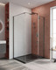 Миниатюра изображения товара Душевой уголок Cezares LINER-AH-1-120/90-C-GM-R