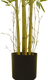 Миниатюра изображения товара Искусственное растение GreenPark Бамбуковое дерево / GP-020/150
