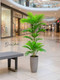 Миниатюра изображения товара Искусственное растение GreenPark Пальма хамедорея водопадная / GP-022/140