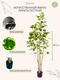 Миниатюра изображения товара Искусственное растение GreenPark Фикус Лирата пестрый / GP-027/160