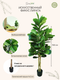 Миниатюра изображения товара Искусственное растение GreenPark Фикус Лирата / GP-031/160