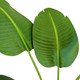 Миниатюра изображения товара Искусственное растение GreenPark Банановая пальма / GP-050/110