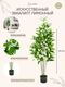 Миниатюра изображения товара Искусственное растение GreenPark Эвкалипт лимонный / GP-052/140