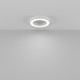 Миниатюра изображения товара Потолочный светильник Maytoni Lua C093CL-36W4K-W