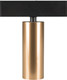 Миниатюра изображения товара Трековый светильник Arlight MAG-SPOT-25-R90-9W Day4000 BK-GD 30deg / 035000(1)