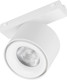 Миниатюра изображения товара Трековый светильник Arlight MAG-VIBE-POINT-R75-10W Day4000-MIX WH 24deg / 045001