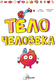 Миниатюра изображения товара Энциклопедия АСТ Тело человека, твердая обложка (Сон Сынхви)