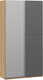 Миниатюра изображения товара Шкаф-купе ТриЯ Оскар Скания Т2 1200 / 268582 (ручка серебро/дуб крафт золотой/серый графит/графит матовый)