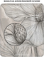 Миниатюра изображения товара Фотообои листовые Citydecor Art Nature 22 (200x140см)