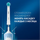 Миниатюра изображения товара Набор насадок для зубной щетки Oral-B Pro Kids EB10S Chameleon (4шт)