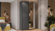 Миниатюра изображения товара Шкаф-купе ТриЯ Оскар Хилтон Т2 1200 / 271042 (ручка черная/серый графит/графит матовый)