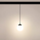 Миниатюра изображения товара Трековый светильник Arlight MAG-ORIENT-SFERO-HANG-R150-10W Warm3000 BK 300deg / 036049