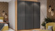 Миниатюра изображения товара Шкаф-купе ТриЯ Оскар Хилтон Т2 2100 / 271141 (ручка черная/дуб крафт золотой/графит матовый)