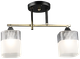 Миниатюра изображения товара Потолочный светильник Aitin-Pro НПБ 02-2x60-101 / A4425/2 (бронза/черный)