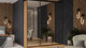 Миниатюра изображения товара Шкаф-купе ТриЯ Оскар Т2 2100 / 271193 (ручка черная/дуб крафт золотой)