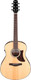 Миниатюра изображения товара Электроакустическая гитара Ibanez AAM100E-NT