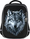 Миниатюра изображения товара Школьный рюкзак Brauberg Light. Gray Wolf / 273111