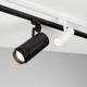 Миниатюра изображения товара Трековый светильник Arlight LGD-ZEUS-2TR-R88-20W Warm3000 BK 20-60deg / 025947(1)