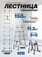 Миниатюра изображения товара Лестница-стремянка Scheppach Sch-UP160-M (65702)
