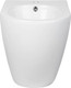 Миниатюра изображения товара Биде напольное Roxen Antares 610185-00 Rimless Soft Close NC