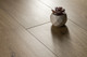 Миниатюра изображения товара Ламинат Viva Floor (Гомельдрев) Blue Label Хортон Бронз 1210