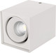 Миниатюра изображения товара Точечный светильник Arlight SP-CUBUS-S100x100-11W Day4000 WH 40deg / 023078(2)