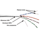 Миниатюра изображения товара Кабель TwT TWT-5EUTP-LSZH (305м, белый)