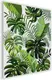 Миниатюра изображения товара Картина по номерам PaintLine Тропические листья / PL-00153