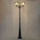 Миниатюра изображения товара Фонарь уличный Citilux Forts CLU10P3