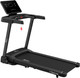 Миниатюра изображения товара Электрическая беговая дорожка Orlauf Fitness Sparrow 17908