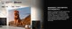 Миниатюра изображения товара Телевизор Hisense 65" 65E7Q