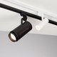 Миниатюра изображения товара Трековый светильник Arlight LGD-GERA-2TR-R74-20W Warm3000 WH 24deg / 025911(1)