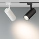 Миниатюра изображения товара Трековый светильник Arlight LGD-GERA-2TR-R74-20W Warm3000 WH 24deg / 025911(1)