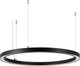Миниатюра изображения товара Потолочный светильник Arlight SP-CIRCLE-HANG-O3535-D1000-60W Warm3000 RAL9005 120deg / 049370