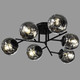 Миниатюра изображения товара Люстра Aitin-Pro НПБ 02-6x40-101 / 8453/6 (черный)
