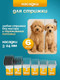 Миниатюра изображения товара Набор для груминга Pet Paws HCY20250110-1