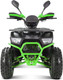 Миниатюра изображения товара Квадроцикл Yacota Sirius 125 (черный/зеленый)