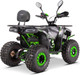 Миниатюра изображения товара Квадроцикл Yacota Sirius 125 (черный/зеленый)