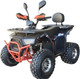 Миниатюра изображения товара Квадроцикл Yacota Sirius LD 125 (черный/красный)