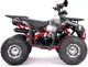 Миниатюра изображения товара Квадроцикл Yacota Sirius LD 125 (черный/красный)