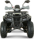 Миниатюра изображения товара Квадроцикл Yacota Dragon Lux-LD 125 (серый)