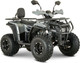 Миниатюра изображения товара Квадроцикл Yacota Dragon Lux-LD 125 (серый)